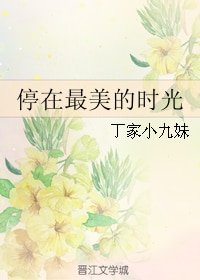 停在最美的时光