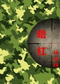 (电视剧同人)暗杠