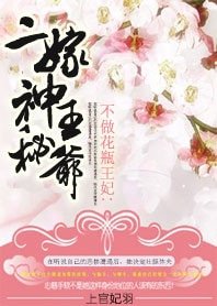 不做花瓶王妃:二嫁神秘王爷