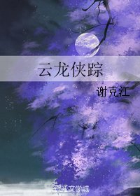 云龙侠踪