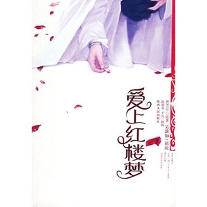 爱上红楼梦