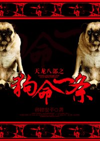 (天龙八部同人)天龙八部之狗命一条