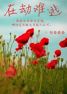 在劫难逃(GL)
