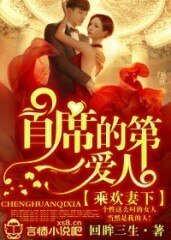 乘欢妻下:首席的第一艾人!