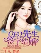 CEO先生,签字结婚!
