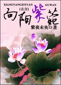 向阳紫菀