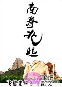 南拳北腿