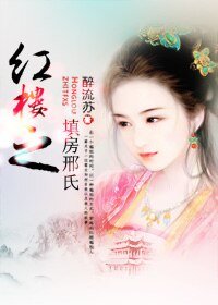 (红楼同人)红楼之填房邢氏
