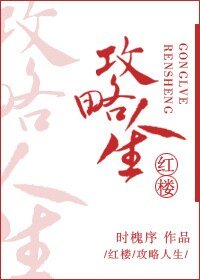 (红楼同人)攻略人生