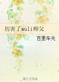厉害了wuli师父