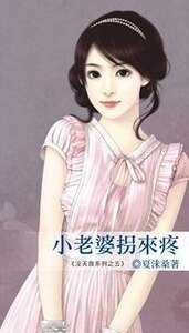 小老婆拐来疼( 没天良系列之五)