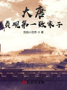 大唐:贞观第一败家子