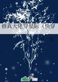 修真大佬穿星际(快穿)