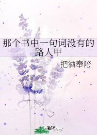 那个书中一句词没有的路人甲