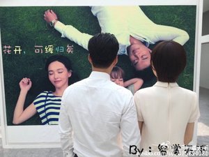 (BG/何以笙簫默同人)何以笙簫默之花開,可緩歸矣