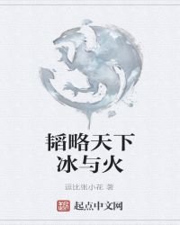 韬略天下冰与火