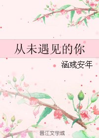 从未遇见的你