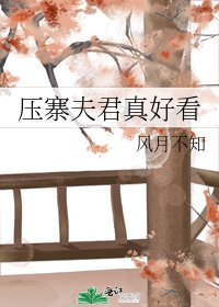 压寨夫君真好看