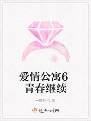 (爱情公寓6同人)青春继续