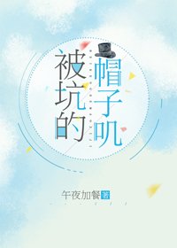(综漫同人)被坑的帽子叽