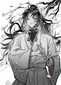 (综漫同人)我靠马甲家财万贯