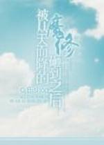被从天而降的魔修砸中之后
