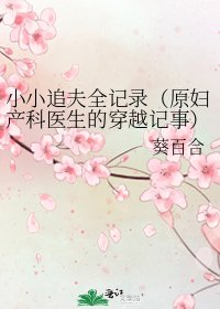 小小追夫全记录(原妇产科医生的穿越记事)