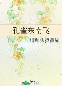孔雀东南飞