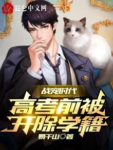 战宠时代:高考前被开除学籍