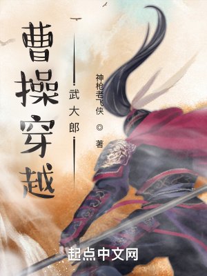 曹操穿越武大郎