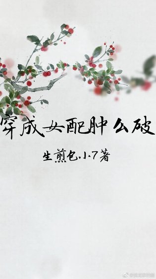 穿成女配肿么破