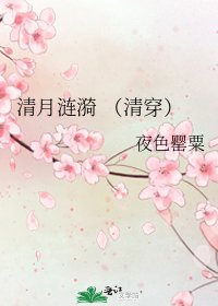 清月涟漪 (清穿)