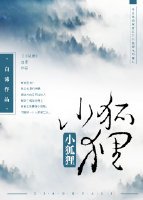小狐狸