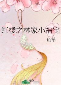 红楼之林家小福宝