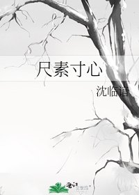 尺素寸心