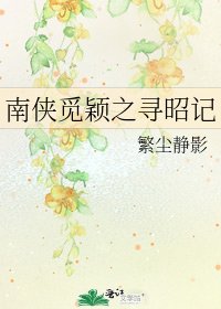 南侠觅颖之寻昭记