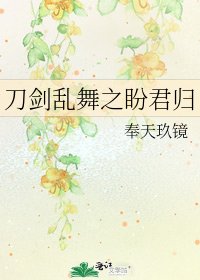 刀剑乱舞之盼君归