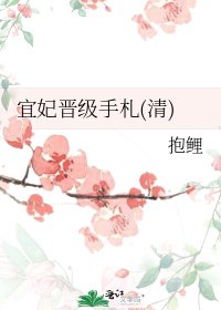 宜妃晋级手札(清)