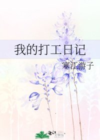 我的打工日記
