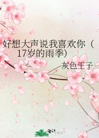 好想大声说我喜欢你(17岁的雨季)