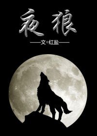 夜狼