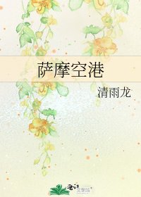 萨摩空港
