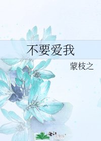 不要爱我