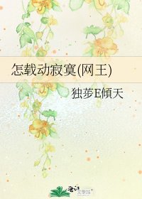 怎载动寂寞(网王)