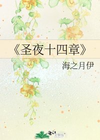圣夜十四章