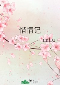 惜情记