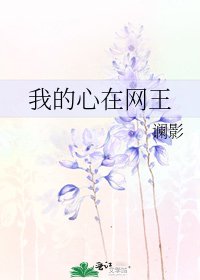 我的心在网王