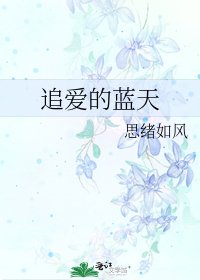 追爱的蓝天