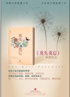 莫失莫忘(出书版)