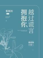 越过谎言拥抱你